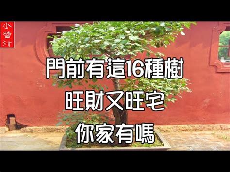 龍眼樹 風水|龍眼樹風水解析 – 提升家居風水能量的方法【龍眼樹 風水】 – 八。